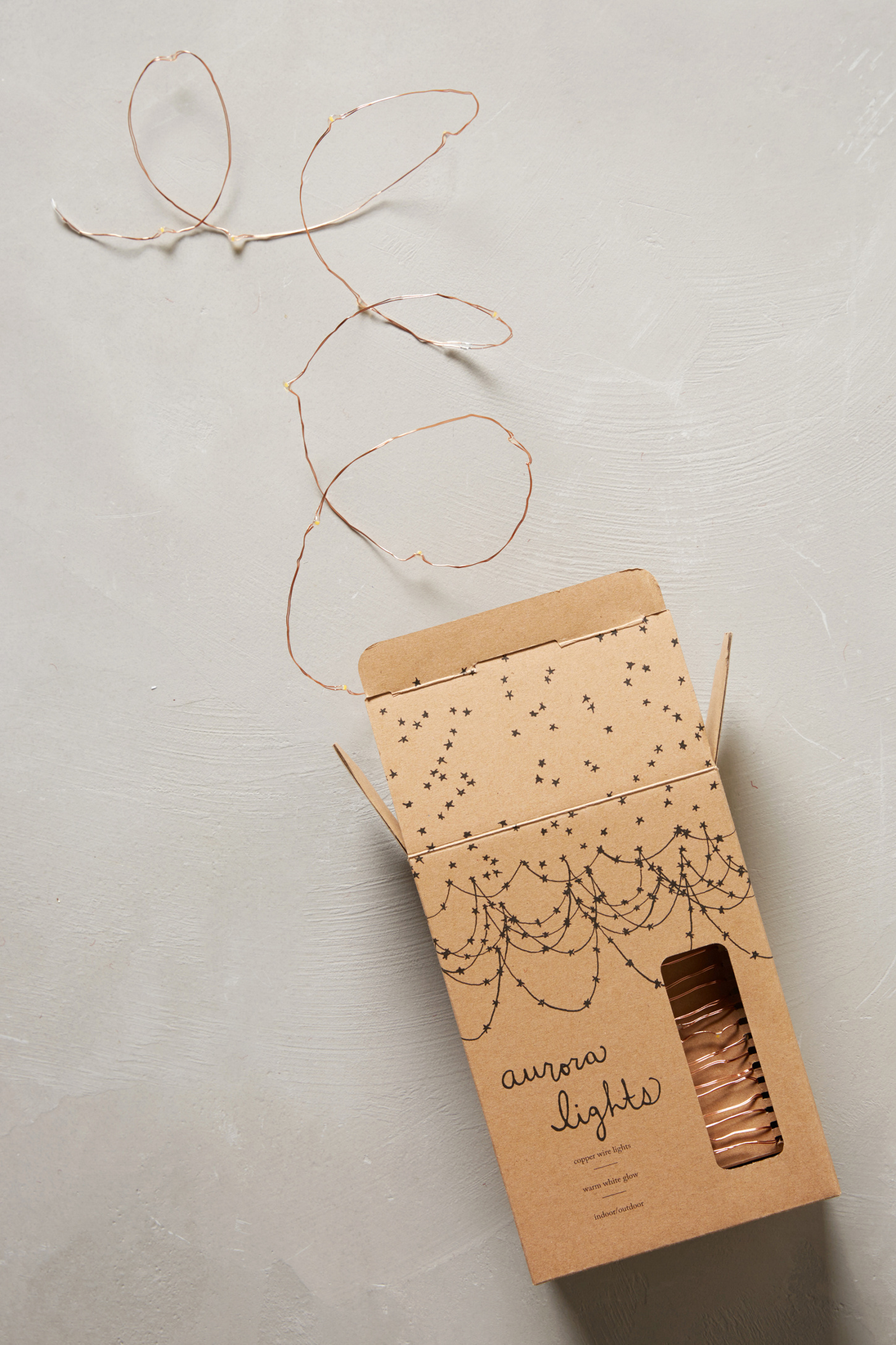 Aurora Copper String Lights Anthropologie